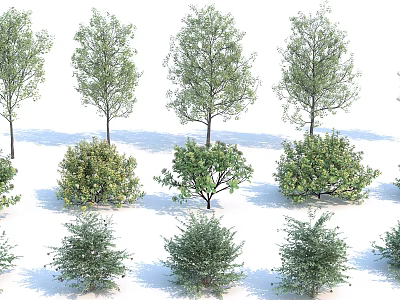 Different Types Of Landscape Trees Collection With Various Sizes And Foliage Shapes 3d model