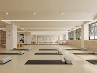 Spacious Bright Yoga Studio With Well Arranged Yoga Mats And Blocks For Fitness Practice 3d model