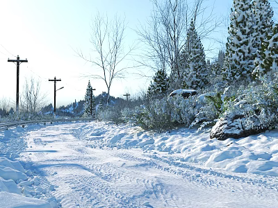 Scenic Winter Road Covered In Snow With Trees Utility Poles And Clear Blue Sky 3d model
