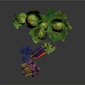 Fresh Colorful Carrots and Brussels Sprouts with Purple Orange Bunched Fresh Vegetables
