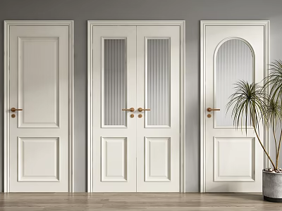 White Modern Double Doors With Glass Panels Brass Handles And Potted Plant On Wooden Floor 3d model