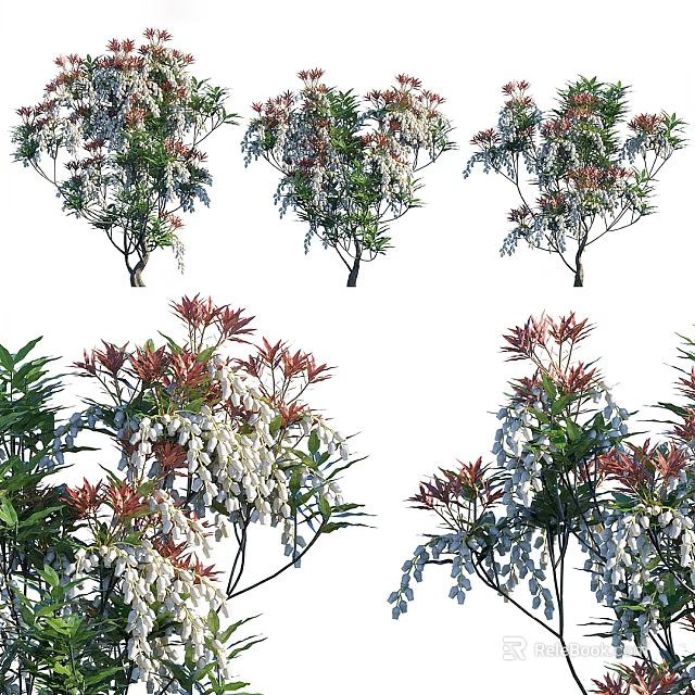 Colorful Leaf Arbor With White Blossoms And Varied Forms For Outdoor Landscape Decor 3d model 