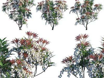 Colorful Leaf Arbor With White Blossoms And Varied Forms For Outdoor Landscape Decor 3d model