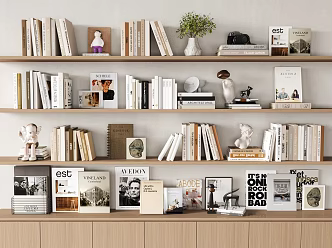 Modern Books and Periodicals Current Disadvantages Magazines Books Portfolio Magazines 3d model