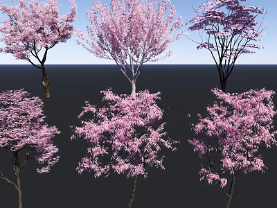 Pink Flowering Arbor Trees In Full Bloom Against Blue Sky Background 3d model