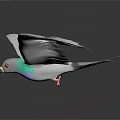 Flying Bird with Gray Feathers Green Neck Orange Beak and Spread Wings