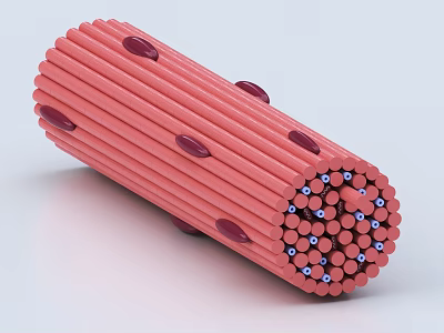 Tubular Pink Medical Device With Inner Arranged Small Cylinders And Blue Tips 3d model