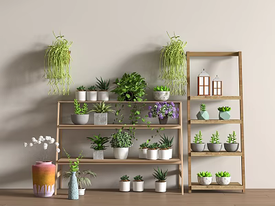 Wooden Plant Stands with Various Potted Plants and Hanging Greenery in Indoor Decorative Arrangement 3d model