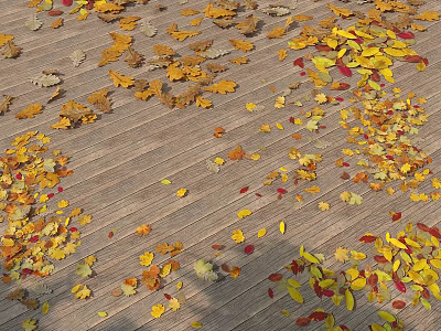 Colorful Autumn Leaves Scattered On Wooden Floor With Yellow Orange Red Tones 3d model