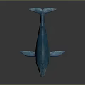 Blue Whale 3D Model With Blue Body And Light Colored Belly On Dark Background 3d model