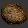 Whole Natural Walnut With Brown Textured Shell On Dark Background