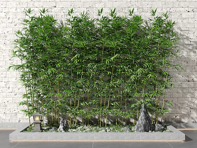 Lush Bamboo Plants With Decorative Stones And Lantern Against White Brick Wall 3d model