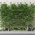 Lush Bamboo Plants With Decorative Stones And Lantern Against White Brick Wall