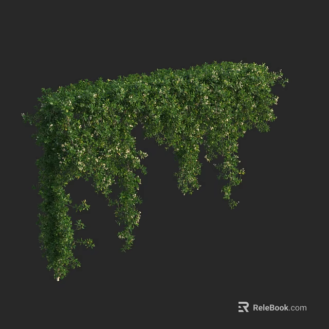 Lush Green Vines With Hanging Branches And Fresh Leaves In Natural Scene 3d model 