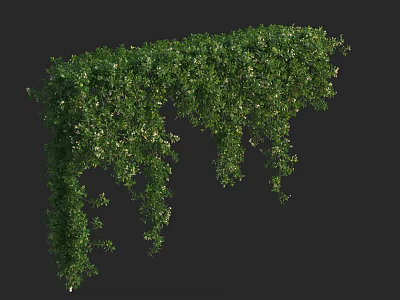 Lush Green Vines With Hanging Branches And Fresh Leaves In Natural Scene 3d model