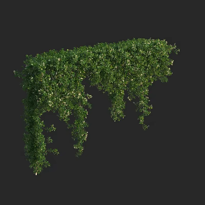 Lush Green Vines With Hanging Branches And Fresh Leaves In Natural Scene 3d model
