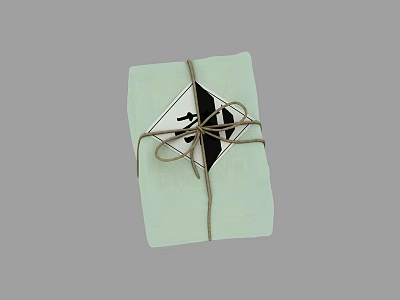 Traditional Food Gift Package with Light Green Wrapping String Tie and Decorative Label 3d model