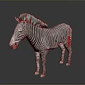 Realistic Zebra With Black And White Stripes Standing On Dark Background With Reflection 3d model