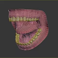 Anatomical 3D Human Mouth Model With Open Teeth And Extended Tongue