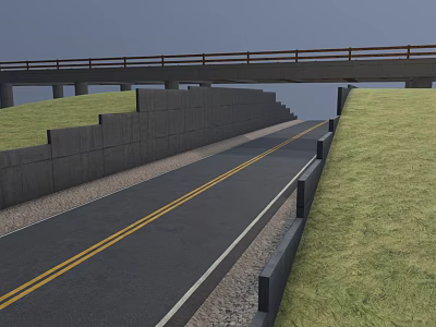 Urban Asphalt Road With Yellow Lines Under Bridge And Concrete Wall Along Green Grass 3d model