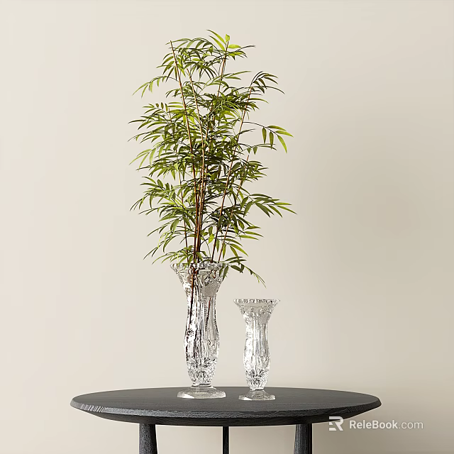 Tall Leafy Bamboo Plant In Transparent Glass Vases On Black Table With Light Background Wall 3d model 