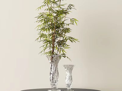 Tall Leafy Bamboo Plant In Transparent Glass Vases On Black Table With Light Background Wall 3d model