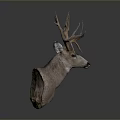 Deer Head Taxidermy Mount With Large Antlers For Home Wall Decoration