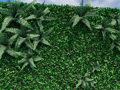 Lush Vertical Green Plant Wall With Dense Ferns And Vibrant Green Foliage 3d model