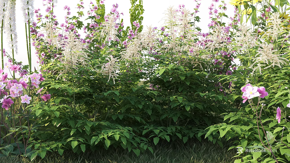 Vibrant Purple and Pink Garden Flowers With Lush Green Leaves and Blooms 3d model 