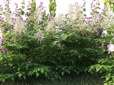 Vibrant Purple and Pink Garden Flowers With Lush Green Leaves and Blooms 3d model