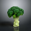 Fresh Green Broccoli with Vibrant Florets and Crisp Stalk Isolated on Dark Background