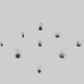Various Herbaceous Grasses in Different Shapes Arranged with Green and Brown Tones on White Background
