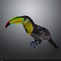 Colorful Toucan Bird With Vibrant Green Yellow Red Beak Black Body And Blue Claws