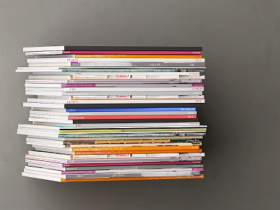 Stack of Assorted Books and Magazines With Colorful Covers and Varied Sizes 3d model
