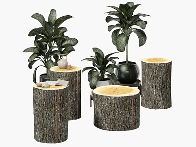 Natural Wooden Tree Stump Side Tables With Green Plants And Decorative Books 3d model