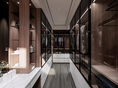 Modern Closet Interior Design With Wooden Cabinets Glass Doors And Lighting 3d model