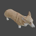 Realistic Brown And White Corgi 3D Model In Standing Pose With Detailed Features