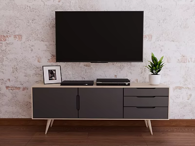 Modern TV Stand With Drawer Cabinet Holding Electronic Devices Photo Frame And Potted Plant 3d model