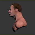Man Bust With Bald Head And Shirtless Torso On Gray Background With Reflection