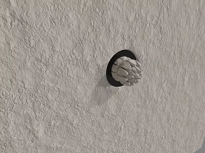 Light Colored Pinecone Shaped Wall Decoration On Black Circular Base Light Gray Wall 3d model