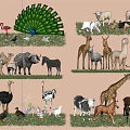 Colorful Animal Figurines Collection On Grass With Various Wildlife Models