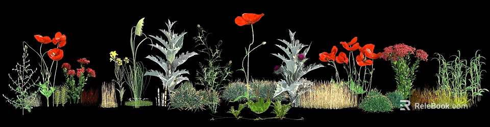 Red Poppy Flowers With Silver Foliage And Green Herb Plants In Garden 3d model 