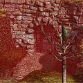 Garden Landscape With Vine Covered Stone Wall Iron Gate Trimmed Bushes And Gravel Pathway