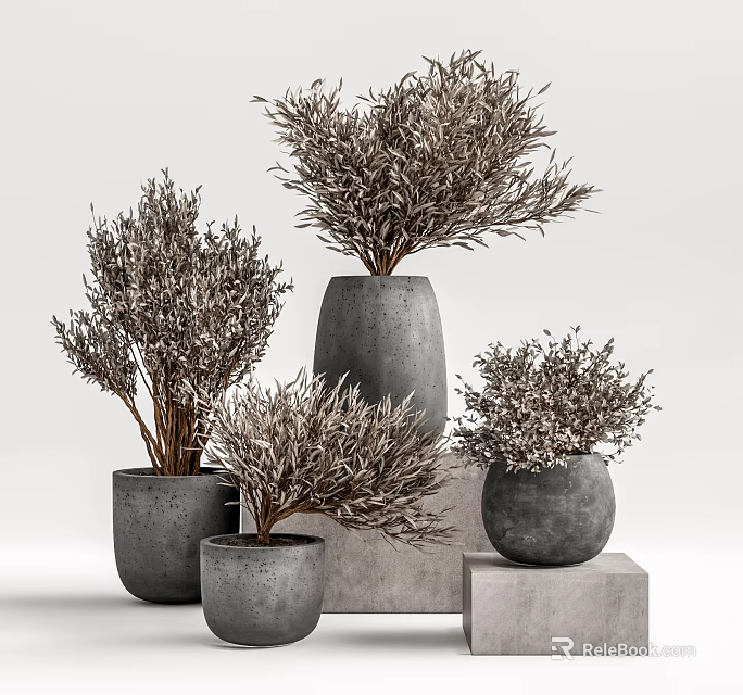 Multiple Potted Bonsai Plants in Concrete Pots Various Heights with Natural Branches for Home Decor 3d model 