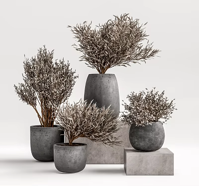Multiple Potted Bonsai Plants in Concrete Pots Various Heights with Natural Branches for Home Decor 3d model