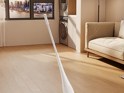 Modern Living Room Interior With Wooden Floor Sofa Washing Machine And Cleaning Tool 3d model