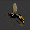 Realistic Wasp With Yellow And Black Body Large Eyes Transparent Wings On Dark Background
