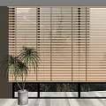 Light Brown Blinds In Modern Room With Green Plants And Natural Light