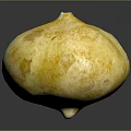 Fresh Yellow Round Pumpkin With Textured Skin On Dark Background