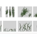 Vine combination Vine 3d model